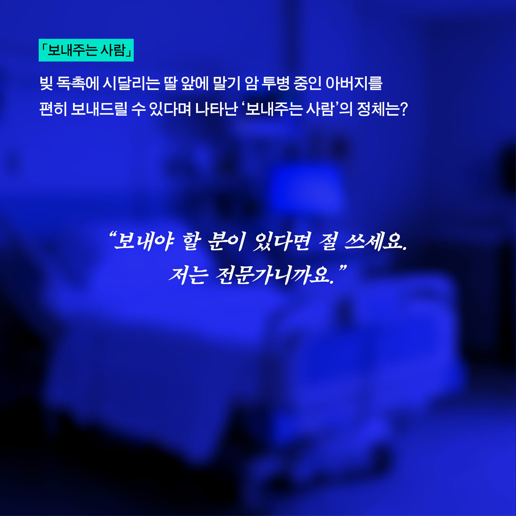 카드뉴스
