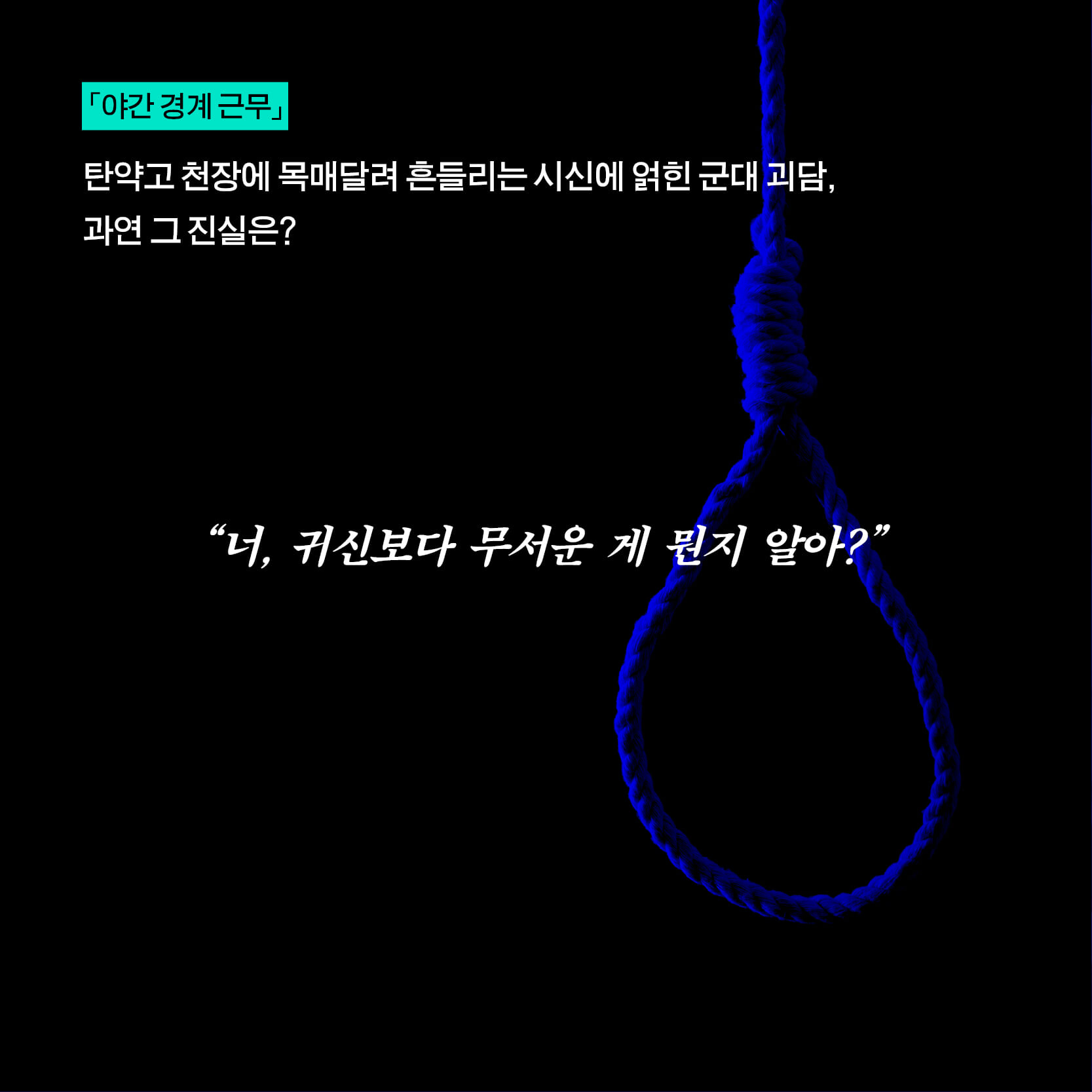 카드뉴스