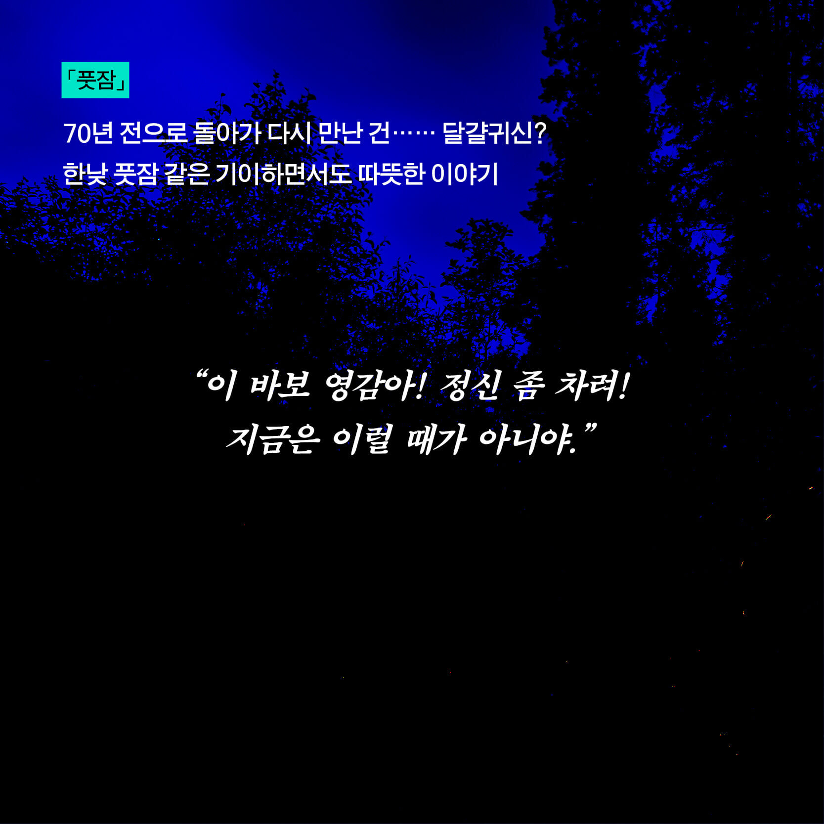 카드뉴스