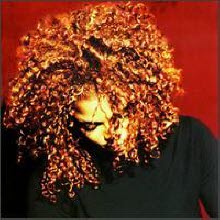 Janet Jackson - The Velvet Rope (수입)