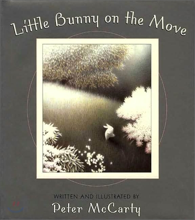 Little Bunny on the Move (Paperback)