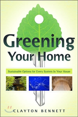 Greening Your Home: Sustainable Options for Every System in Your House