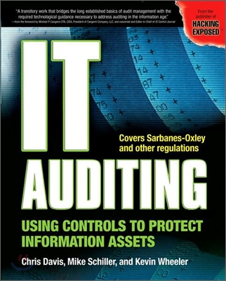 It Auditing