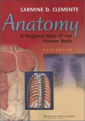 [Clemente] Anatomy, 5/E