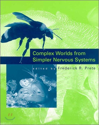 Complex Worlds from Simpler Nervous Systems