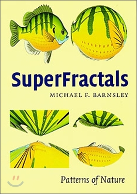 Superfractals