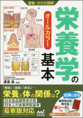 運動.からだ圖解 榮養學の基本