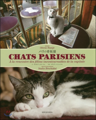 パリの看板猫 