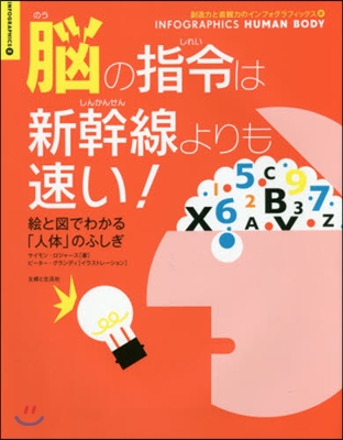 腦の指令は新幹線よりも速い!