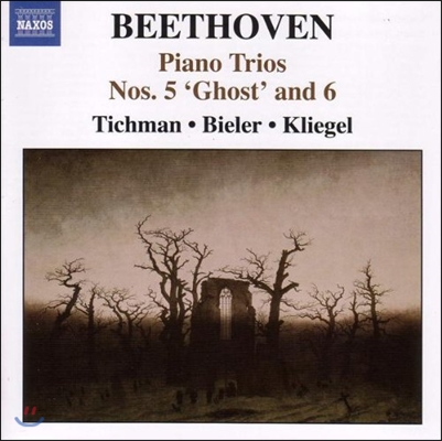 Xyrion Trio 베토벤: 피아노 삼중주 1집 - 5번 &#39;유령&#39;, 6번, 10번 변주곡 (Beethoven: Piano Trios 1 - Op.70 No.1 &#39;Ghost&#39;, No.2, Op.44 Variations)
