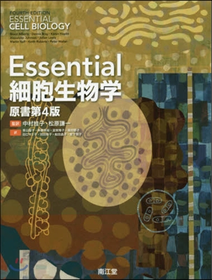 Essential細胞生物學 原書第4版