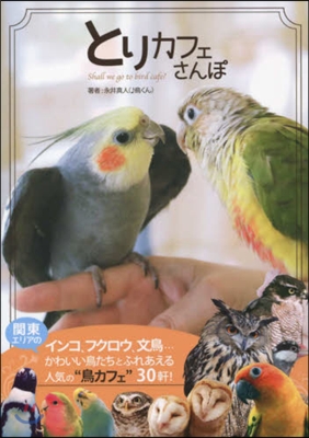 とりカフェさんぽ 鳥くんが行く,鳥とふれ