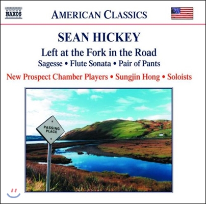 홍성진 (Sungjin Hong) 션 히키: 실내악 작품집 (Sean Hickey: Left at the Fork in the Road, Sagesse, Flute Sonata, Pair of Pants)