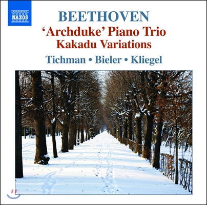 Nina Tichman 베토벤: 피아노 삼중주 5집 - 7번 &#39;대공&#39;, 11번 &#39;카카두 변주곡&#39; (Beethoven: Piano Trio Op.97 Archduke, Op.121a Kakadu Variations, WoO38)