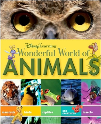 Wonderful World of Animals