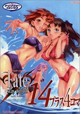 Fate/stay night 14