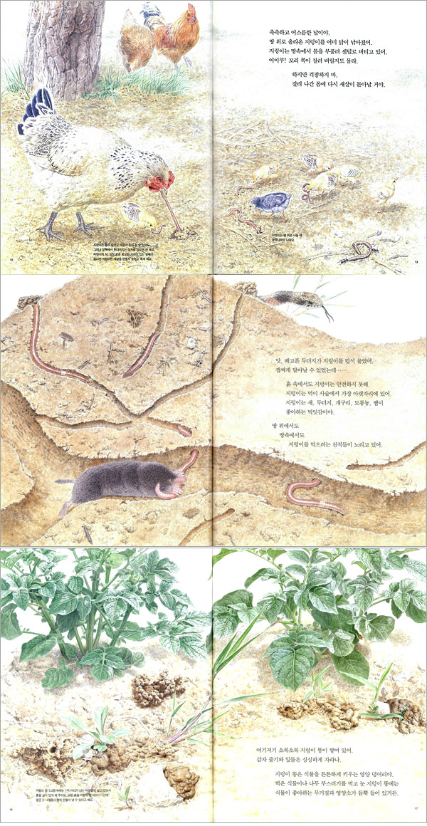 상세 이미지 1