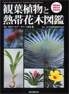 觀葉植物と熱帶花木圖鑑