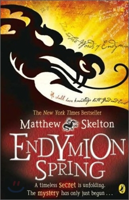 Endymion Spring (Paperback)