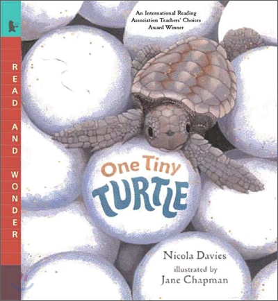 [중고] One Tiny Turtle: Read and Wonder