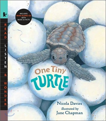 [중고] One Tiny Turtle [With Read-Along CD]