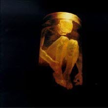 Alice In Chains - Nothing Safe: The Best Of The Box