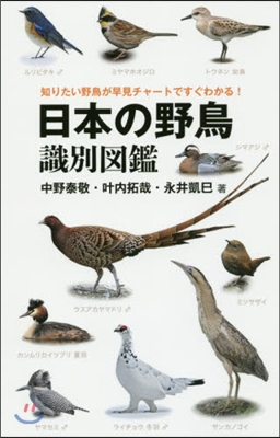 日本の野鳥識別圖鑑