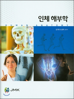 인체해부학