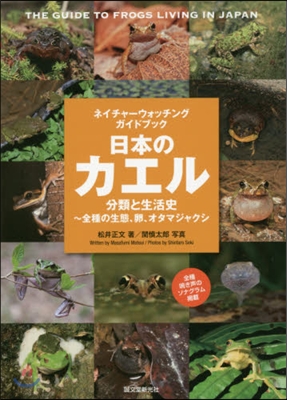 日本のカエル 分類と生活史~全種の生態,