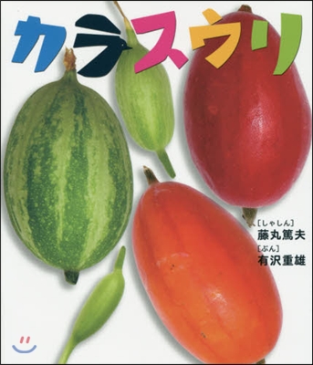 しぜんといっしょ(7)カラスウリ
