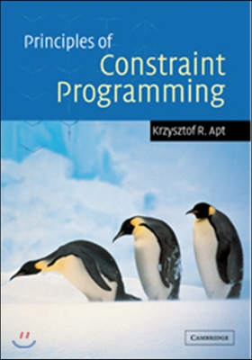 Principles of Constraint Programming