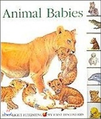 First Discoveries : Animal Babies (Board book)