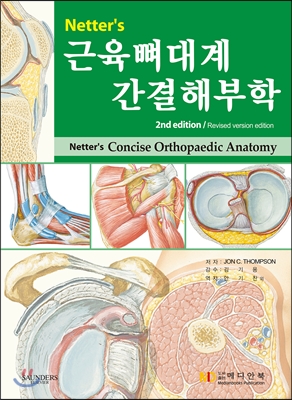 Netter's 근육뼈대계 간결해부학