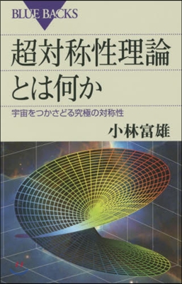 超對象性理論とは何か 宇宙をつかさどる究