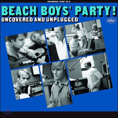 Beach Boys (비치 보이스) - The Beach Boys Party! Uncovered And Unplugged [LP]