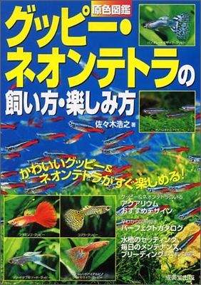 原色圖鑑 グッピ-.ネオンテトラの飼い方.樂しみ方