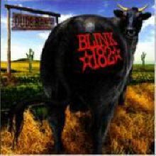 Blink 182 - Dude Ranch (수입)