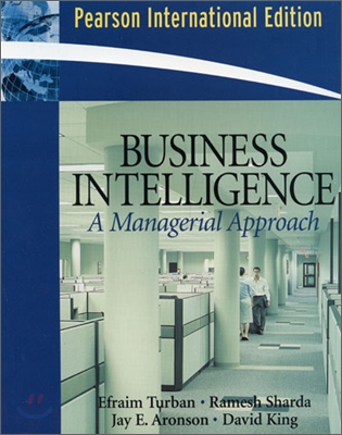 Business Intelligence, 1/E