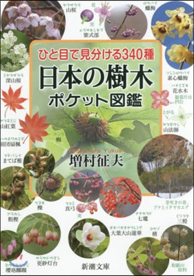 日本の樹木ポケット圖鑑 ひと目で見分ける