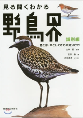 見る聞くわかる野鳥界 識別編 色と形,聲