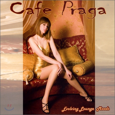 Cafe Praga (카페 프라하 - 라운지-일렉트로닉 컴필레이션)