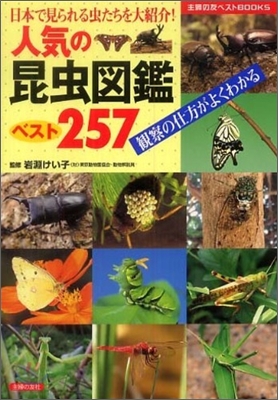 人氣の昆蟲圖鑑ベスト257