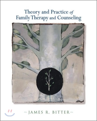 Theory and Practice of Family Therapy and Counseling (Hardcover)