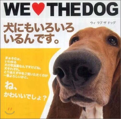 WE LOVE THE DOG