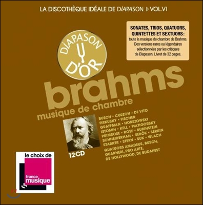 디아파종 - 브람스 실내악 명연주 박스세트 12CD (La Discotheque Ideale de Diapason Vol.6 - Brahms: Chamber Music)