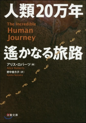 人類20万年 遙かなる旅路