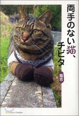 兩手のない猫,チビタ