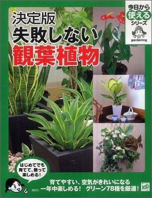 失敗しない觀葉植物