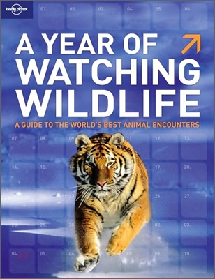 Lonely Planet a Year of Watching Wildlife