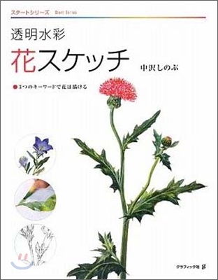 透明水彩 花スケッチ